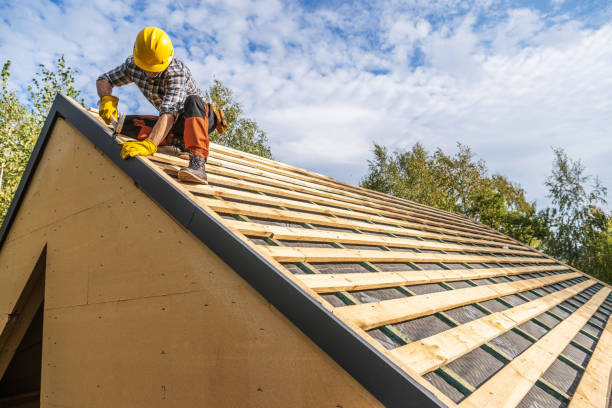 Roof Gutter Cleaning in Garland, TX